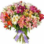 Квіти по виду