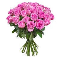 31 рожева троянда