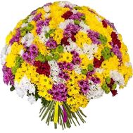 Букет із 101 хризантеми