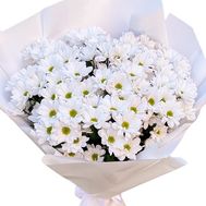 Букет із 13 білих хризантем