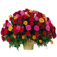 Кошик з 101 різнобарвною троянди