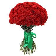 Букет із 55 червоних і білих гвоздик