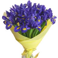 Букет квітів із 35 ірисів