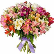 Букет із 51 альстромерія