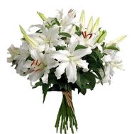 Букет із 11 гілок білої лілії