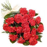 Букет із 19 червоних гвоздик