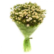 Букет із 25 кущовий троянд