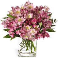 Букет із 17 рожевих альстромерій