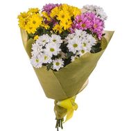 Букет із 7 хризантем