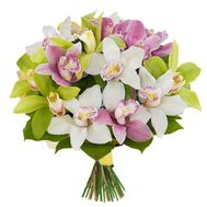 Букет із 15 орхідей