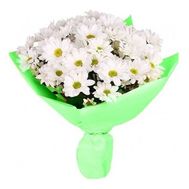 Букет із 7 ромашок