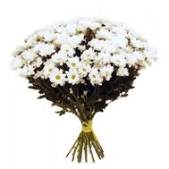 Букет із 17 ромашок