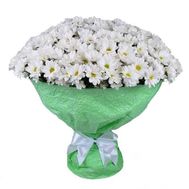 Букет із 25 ромашок