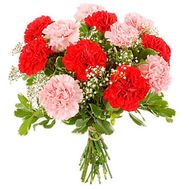 Букет із 11 гвоздик і гіпсофіли