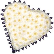 15 хризантем