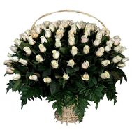 Кошик з 101 імпортної білої троянди