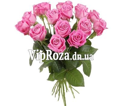 17 рожевих троянд в букеті