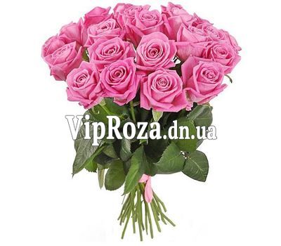 21 прекрасна рожева троянда