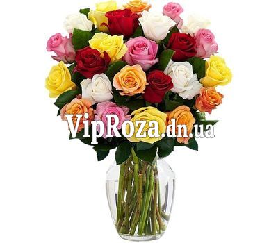 25 різнокольорових троянд