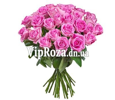 31 рожева троянда