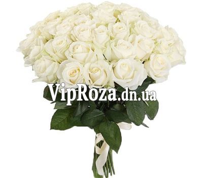 41 троянда білого кольору