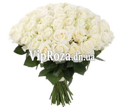 55 білих троянд