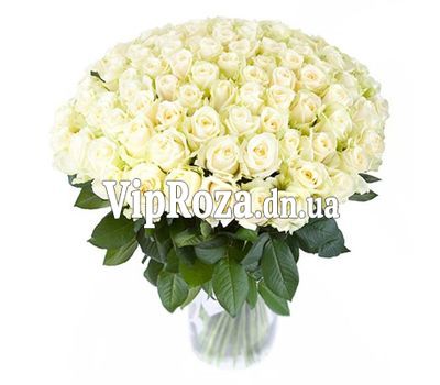 Букет із 101 білої троянди