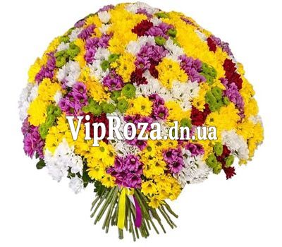 Букет із 101 хризантеми