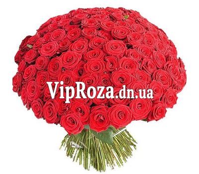 Букет із 251 троянди