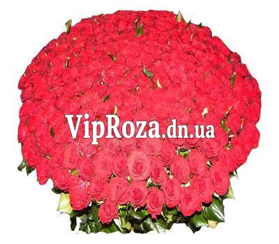 Букет із 351 троянди