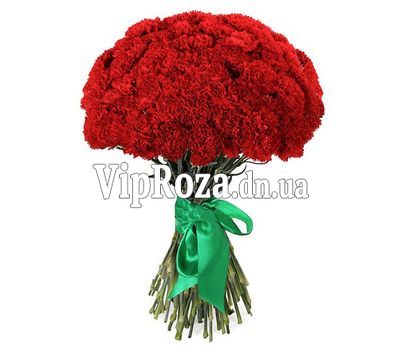 Букет із 55 червоних і білих гвоздик