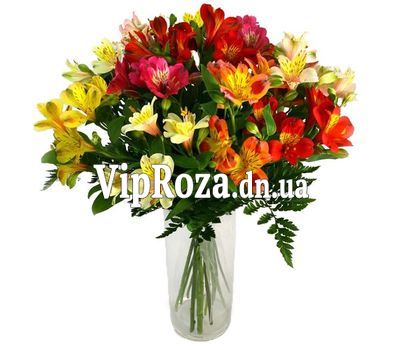 Букет із 15 різнокольорових альстромерій