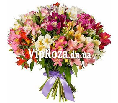 Букет із 51 альстромерія