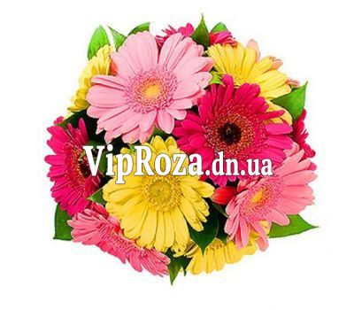 Букет квітів із 13 різнокольорових гербер