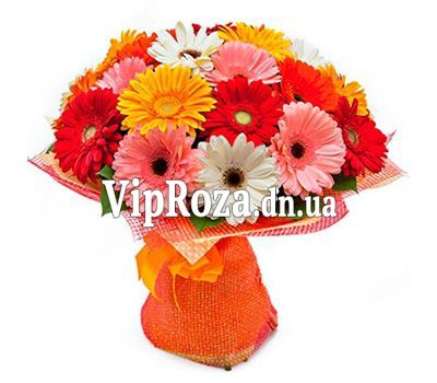 Букет із 25 гербер