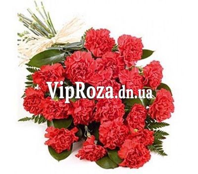 Букет із 19 червоних гвоздик