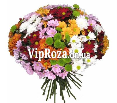 Букет із 35 хризантем