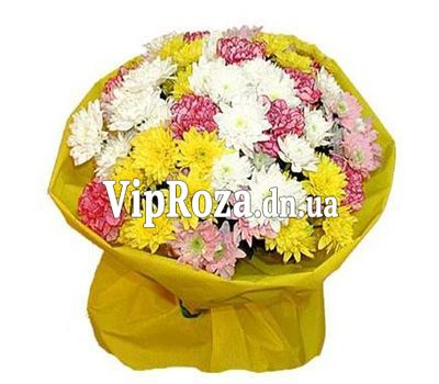 Букет із 10 хризантем і 9 гвоздик