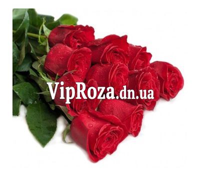 Букет із 11 червоних імпортних троянд
