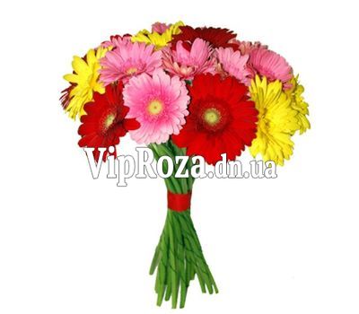 Букет із 17 гербер