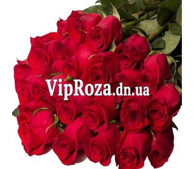 Букет із 25 червоних імпортних метрових троянд