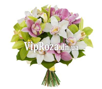 Букет із 15 орхідей