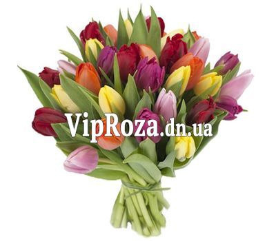 Букет із 33 тюльпанів