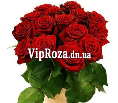 Букет із 15 червоних троянд