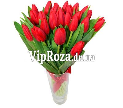 Букет із 23 червоних тюльпанів