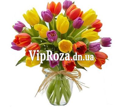 Букет із 25 тюльпанів