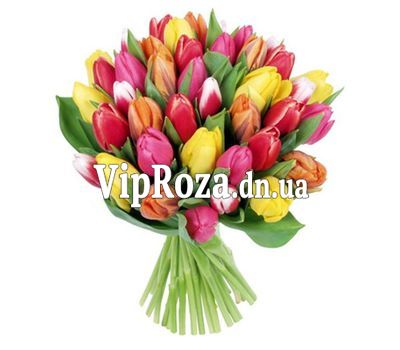 Букет із 41 тюльпана