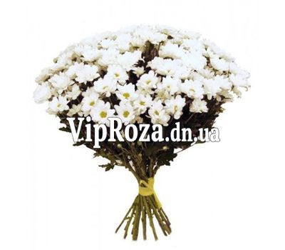 Букет із 17 ромашок