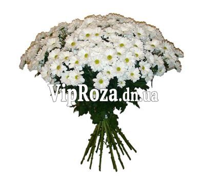 Букет із 21 ромашки