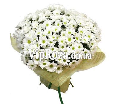 Букет із 33 ромашок